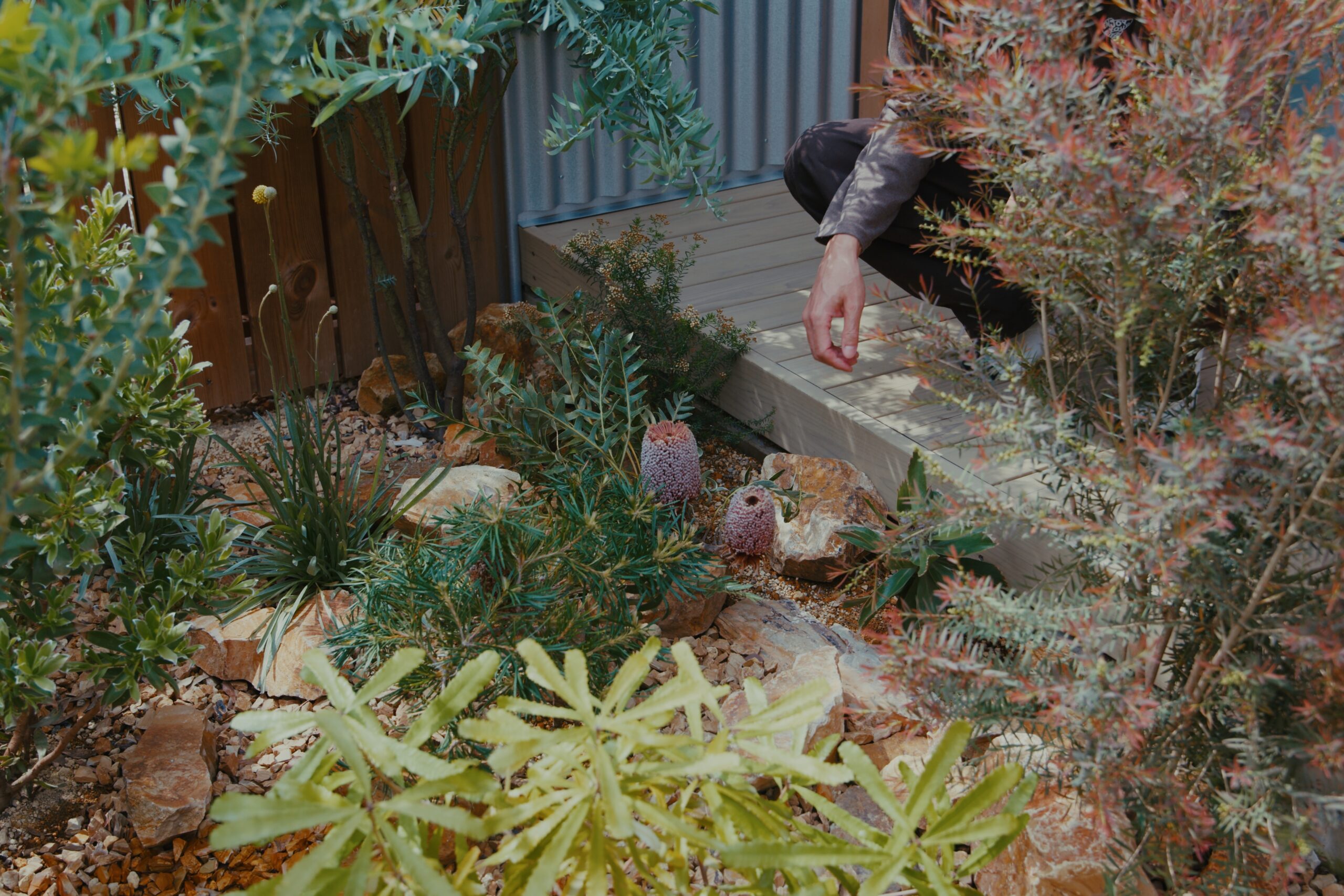 still2_01_02_50_17