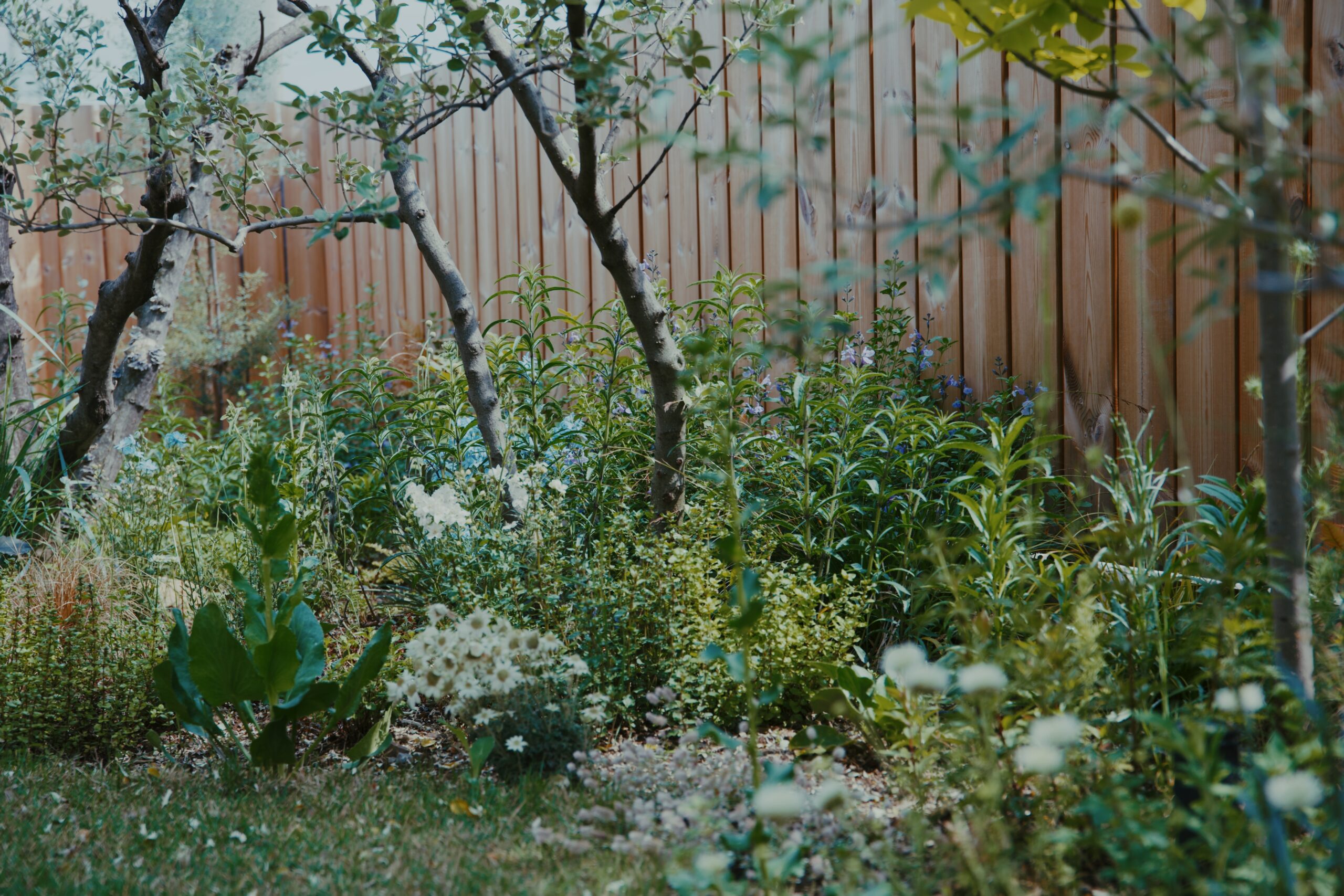 still2_01_03_10_15