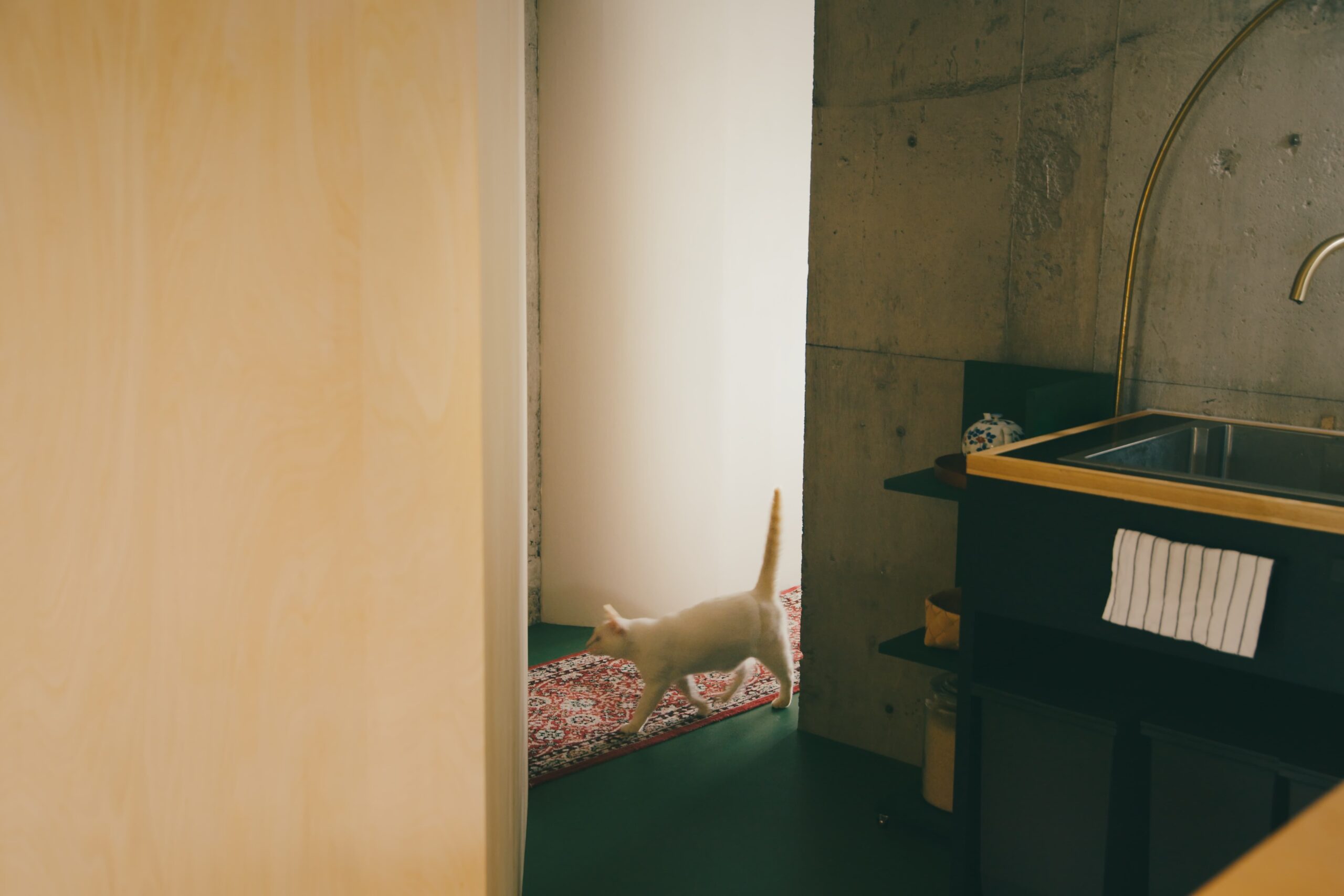 still_01_01_05_05