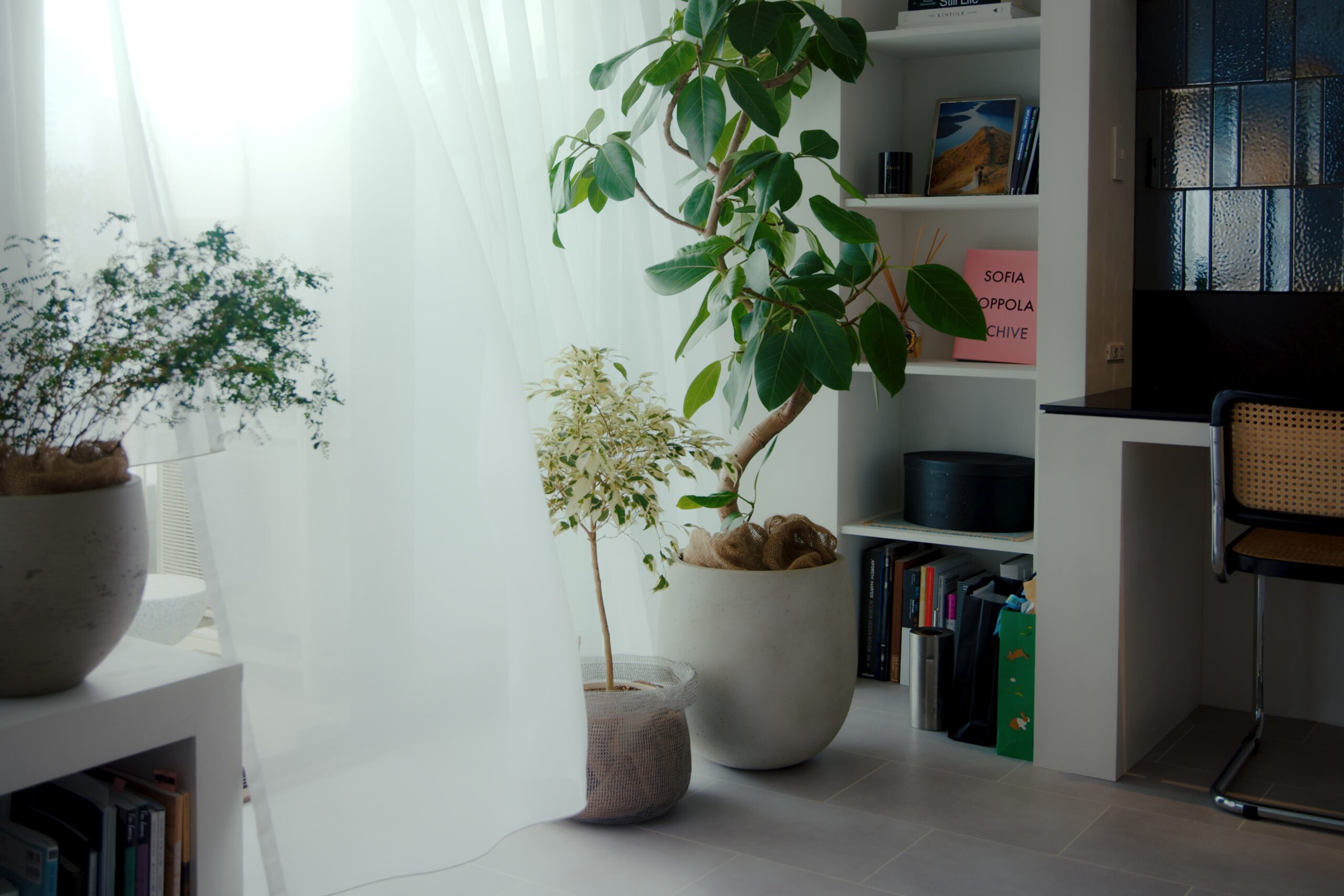 edit_a still_01_02_03_20