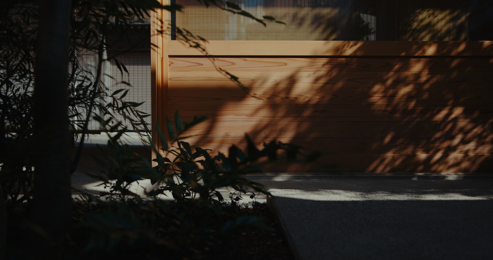 edit_theday_a_v04_still_01_01_01_13