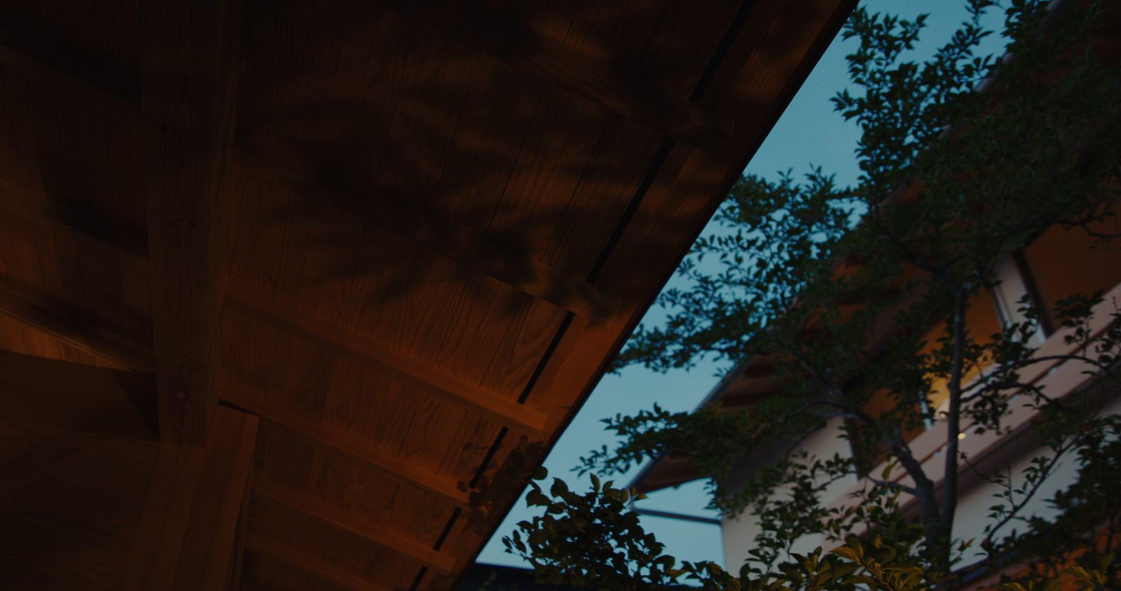 editthenight_v04_still_01_00_11_12